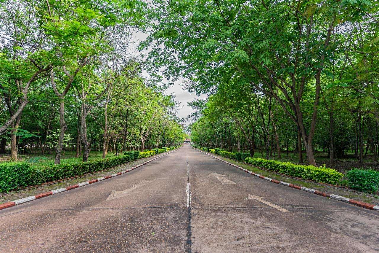 National School Lunch Program – USDA Food and Nutrition Service (.gov)