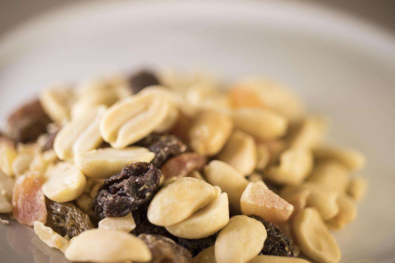 Nutrition experts question need for doubled protein intake in new U.S. guidelines – Washington Times